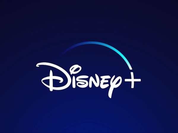 Disney Plus Premium Accounts